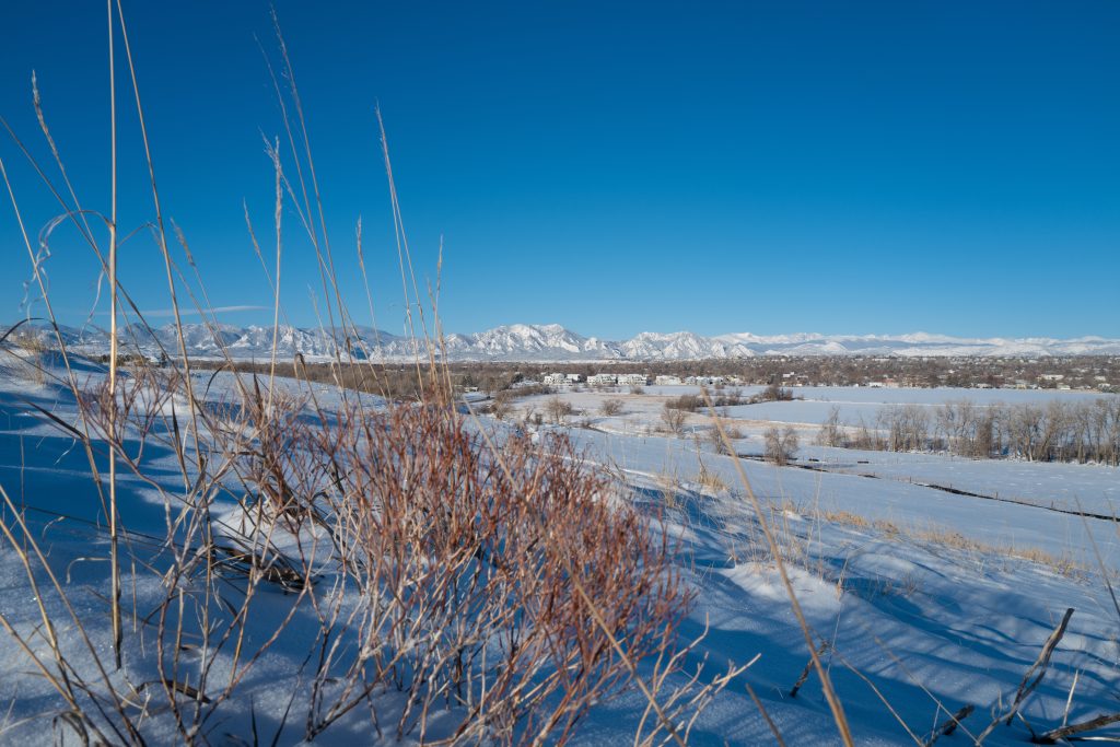 Louisville Colorado after the snow