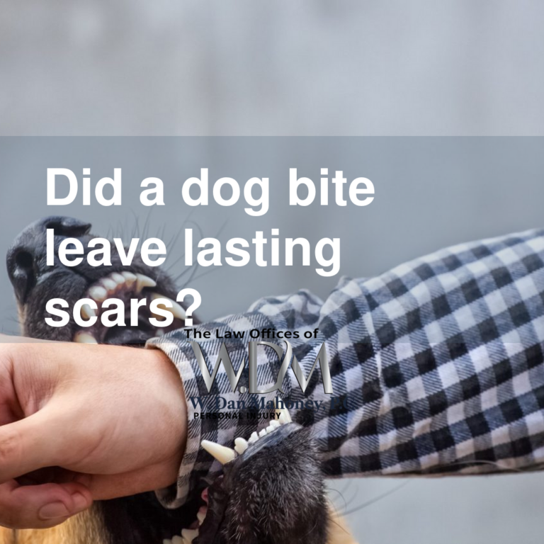 Did a dog bite leave lasting scars?